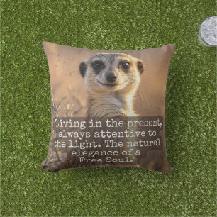 Adventurous Meerkat Living Cushion