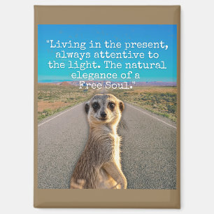 Adventurous Meerkat Living Magnet
