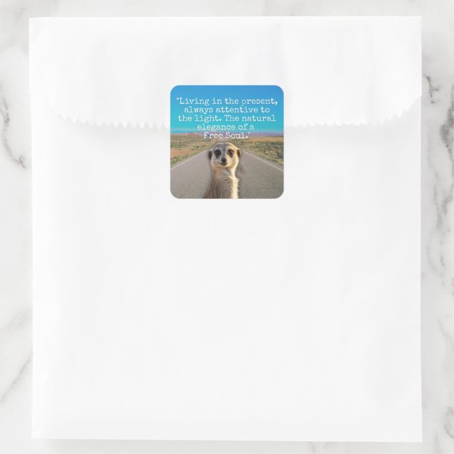 Adventurous Meerkat Living Square Sticker (Bag)