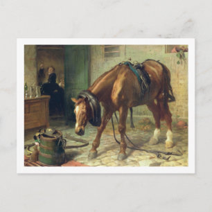 Adversity Postcard