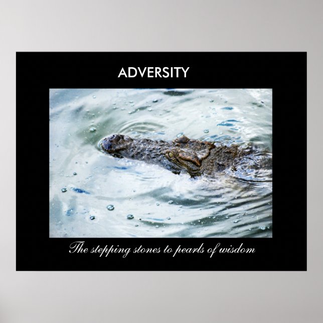 Adversity Poster (Front)