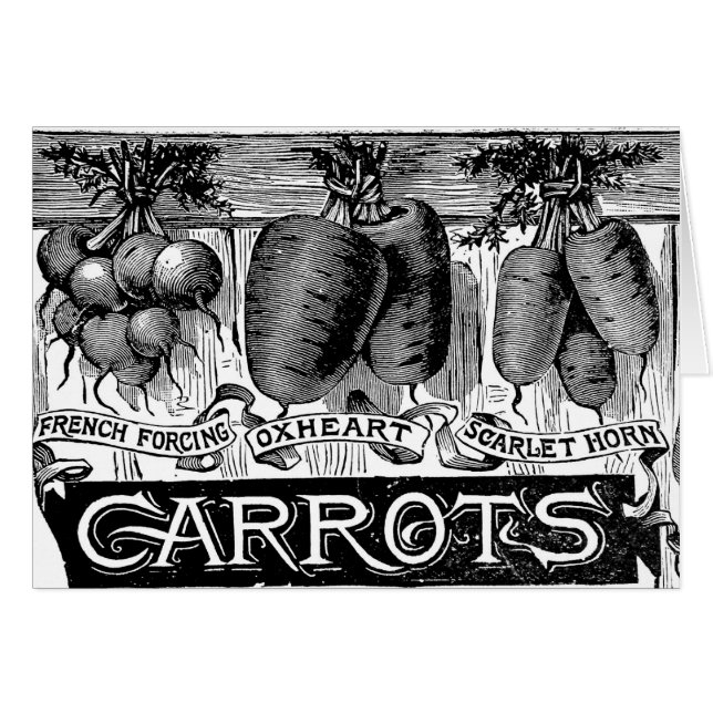 Advert 4 vintage carrots (Front Horizontal)