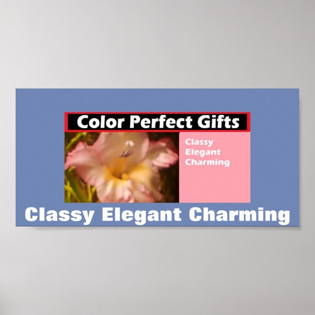 Advertisement Classy Elegant Charming Poster (Front)