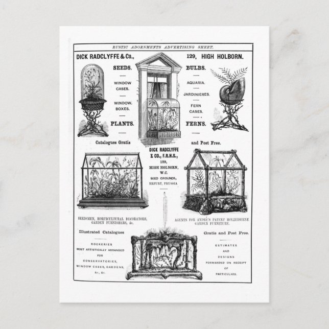 Advertisement for 'Dick Radclyffe & Co.' Rustic Ad Postcard (Front)