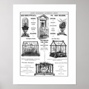 Advertisement for 'Dick Radclyffe & Co.' Rustic Ad Poster