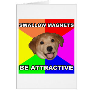 Advice Dog Swallow Magnets