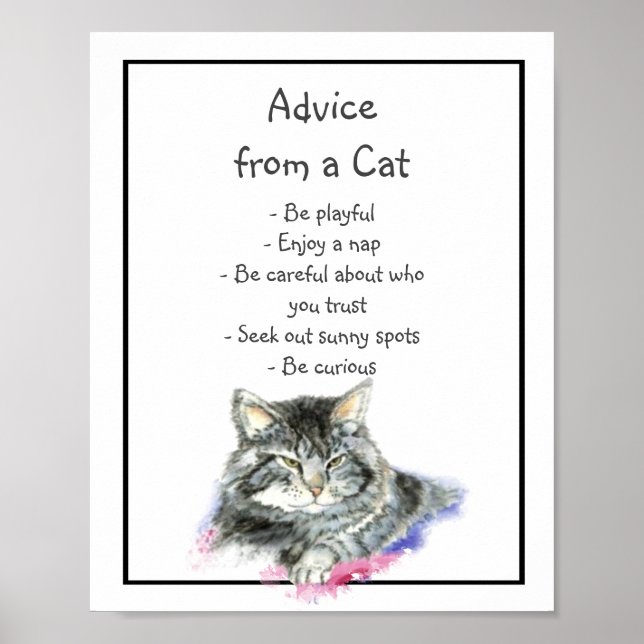 Advice from a Cat Fun Animal Humor Poster (Front)