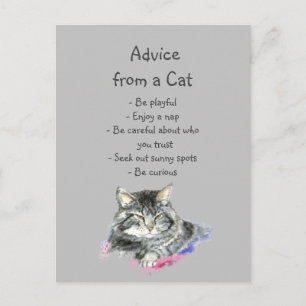 Advice from a Cat Fun Animal Humour Postcard