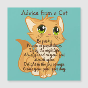 Advice from a Cat Magnetic Card