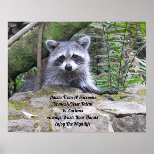 Advice From A Racoon Poster