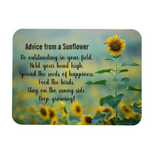 Advice from a Sunflower Design Magnet