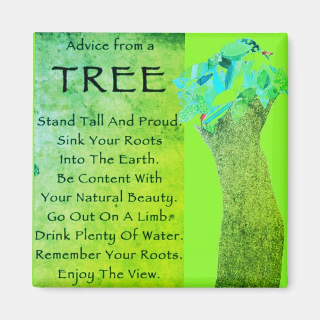 Advice from a tree magnet (Front)