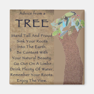 Advice from a tree magnet