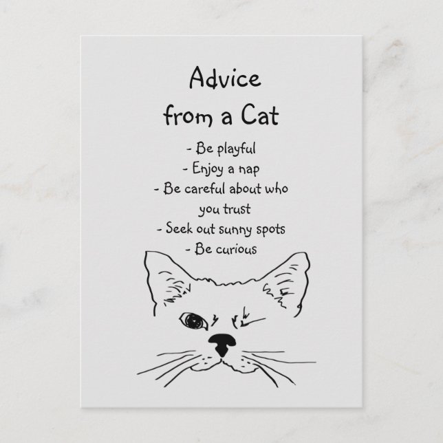 Advice from Winking Cat Fun Animal Humour Postcard (Front)