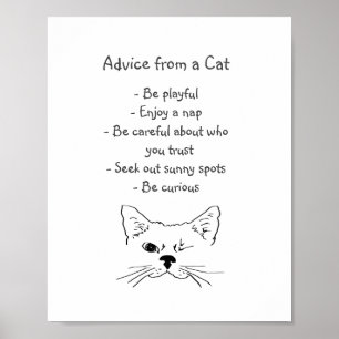 Advice from Winking Cat Fun Animal Humour Poster