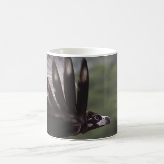 Aegypius monachus coffee mug (Center)