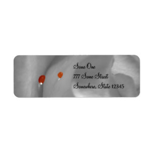 Aeolian Watercolor Address Labels