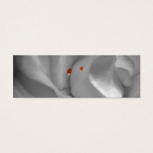 Aeolian Watercolor Bookmarks