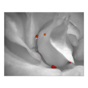 Aeolian Watercolor Photo Print