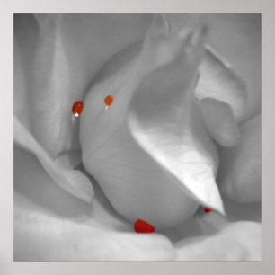 Aeolian Watercolor Print