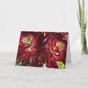 Aeonium greeting card