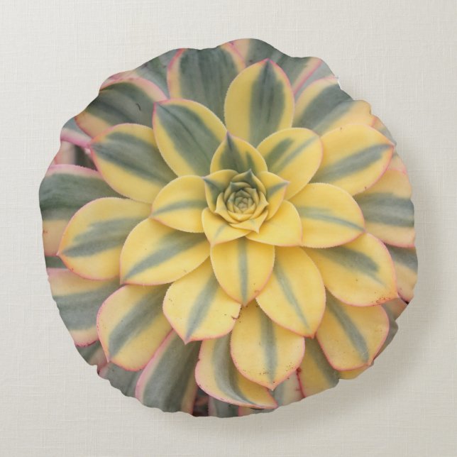 Aeonium 'Sunburst' Succulent Throw Pillow (Back)
