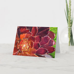 Aeonium watercolor card
