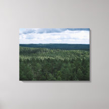 Aerial Forest And Clouds Nature Landscape Photo