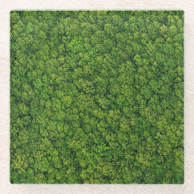 Aerial forest view, top view, copy space. glass coaster (Front)