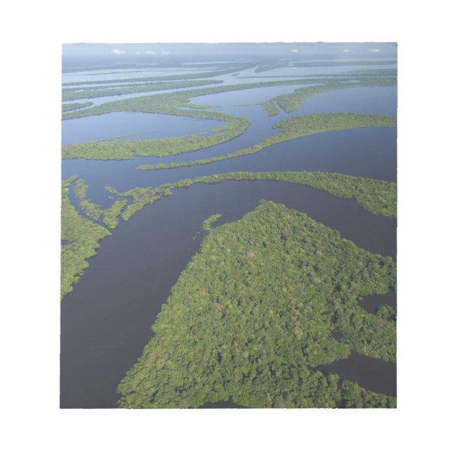 Aerial of Anavilhanas Archipelago, Flooded Notepad (Front)