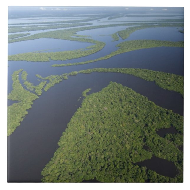 Aerial of Anavilhanas Archipelago, Flooded Tile (Front)