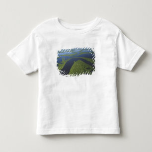 Aerial of Anavilhanas Archipelago, Flooded Toddler T-Shirt