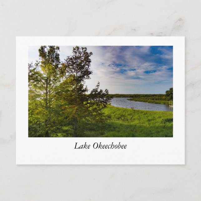 Aerial of Lake Okeechobee Postcard (Front)
