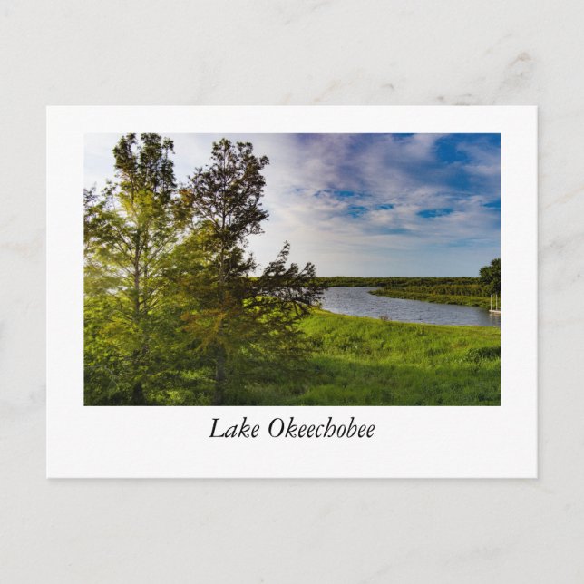 Aerial of Lake Okeechobee Postcard (Front)