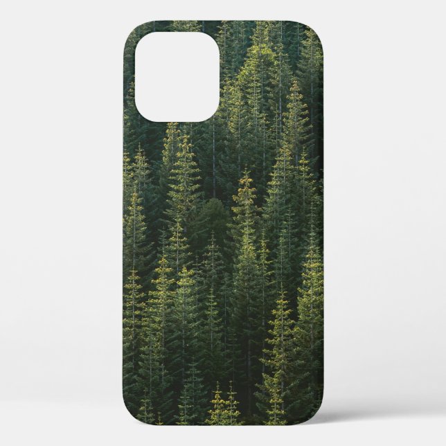 AERIAL PHOTOGRAPHY OF FOREST Case-Mate iPhone CASE (Back)