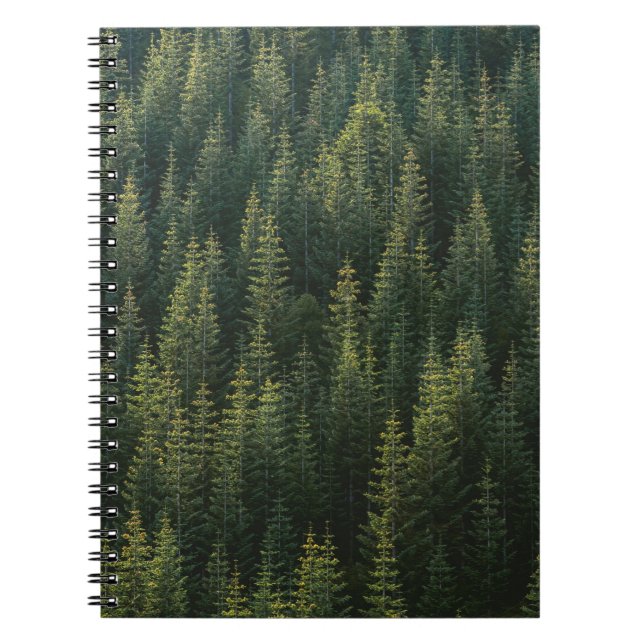 AERIAL PHOTOGRAPHY OF FOREST NOTEBOOK (Front)