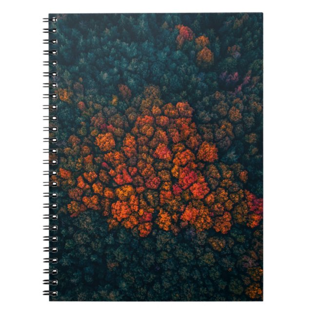 Aerial photography of forest notebook (Front)