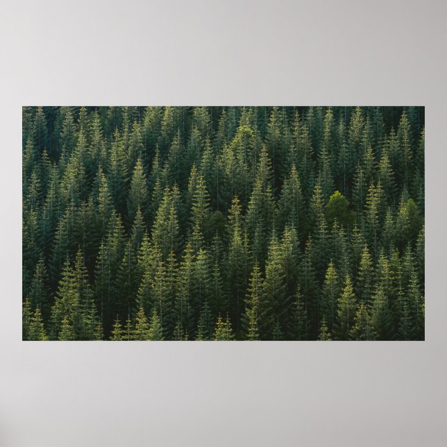 AERIAL PHOTOGRAPHY OF FOREST POSTER (Front)