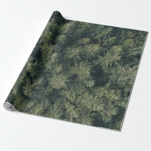 Aerial photography of green trees wrapping paper