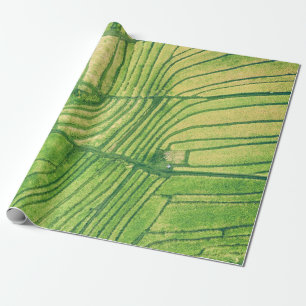 Aerial photography of rice field wrapping paper