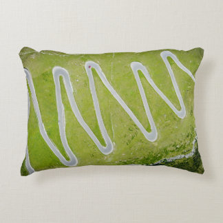 AERIAL PHOTOGRAPHY OF ROAD DECORATIVE CUSHION