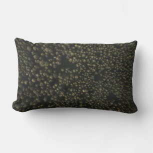 Aerial photography of tall green trees lumbar cushion