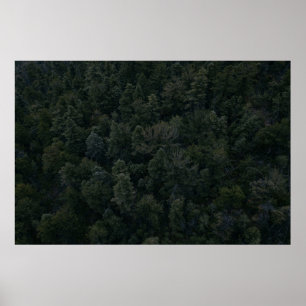 Aerial photography of trees poster
