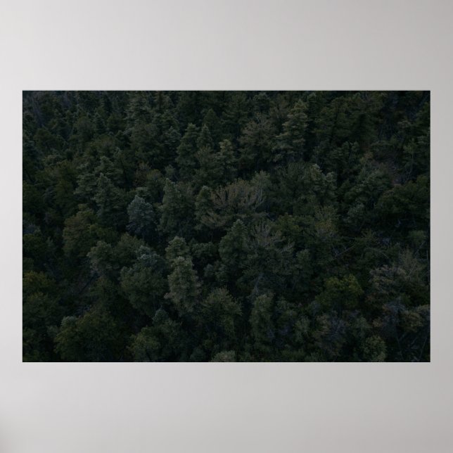 Aerial photography of trees poster (Front)