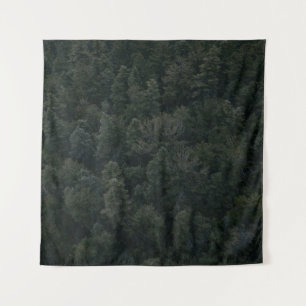 Aerial photography of trees tapestry