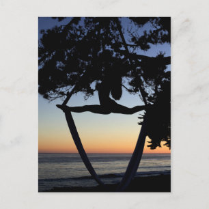 Aerial Silk Silhouette Postcard