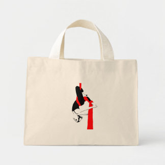 Aerial Silks Bag