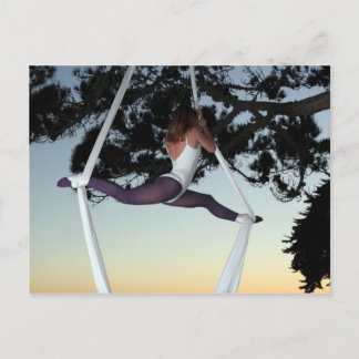 Aerial Silks Postcard