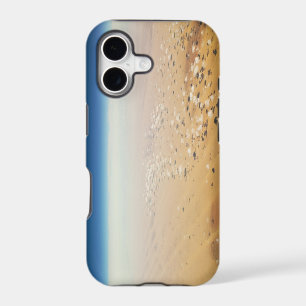Aerial view of a desert