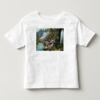 Aerial View of a Train Station